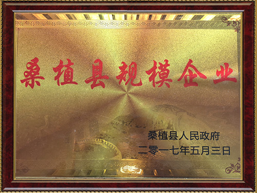 桑植縣規(guī)模企業(yè) 桑植縣規(guī)模企業(yè)